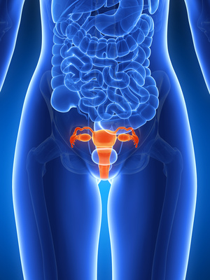 Behandlungsmöglichkeiten durch Ihren Frauenarzt bei Endometriose