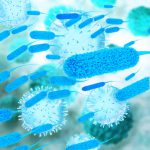 Eine Harnweg – Infektion wird durch Bakterien verursacht
