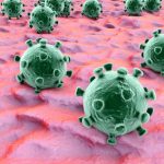 Humane Papillomaviren gehören zu den häufigsten Verursachern von Infektionen im Genitalbereich