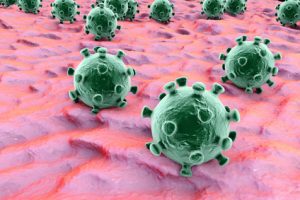 Humane Papillomaviren gehören zu den häufigsten Verursachern von Infektionen im Genitalbereich